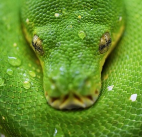 Фото Вышел Python 3.11. Что нового?