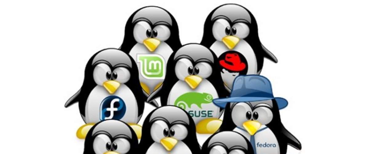 Фото Операционные системы. Linux. Начало