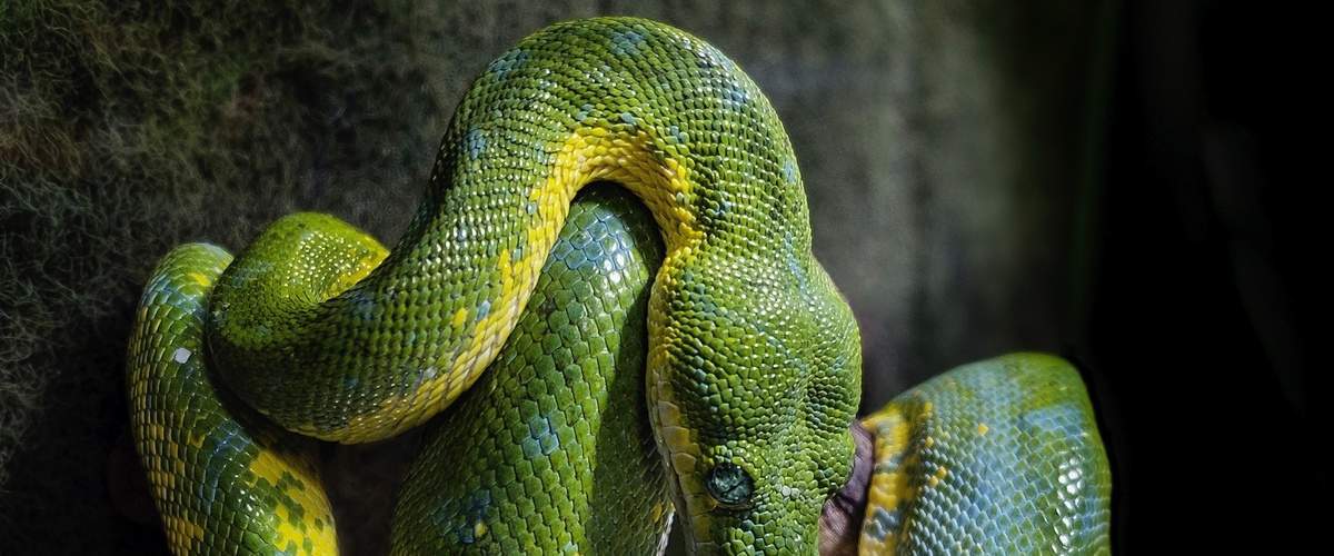 Фото Основы работы с потоками в Python