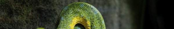 Фото Обзор изменений в Python 3.7
