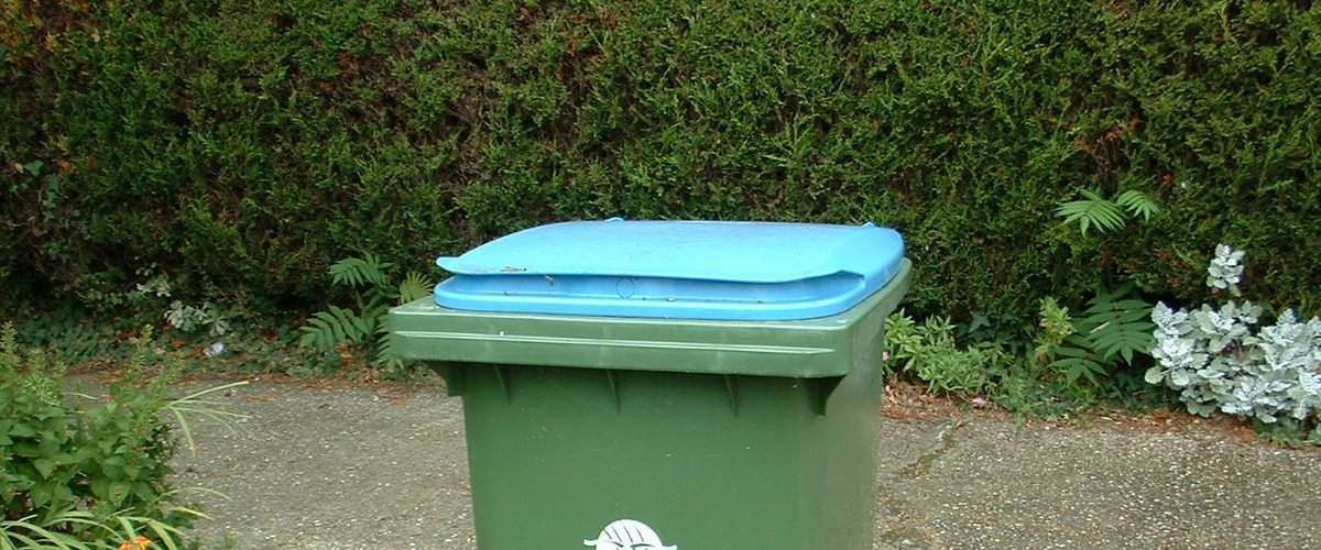 Фото Recycle Bin Day — день роджения Windows