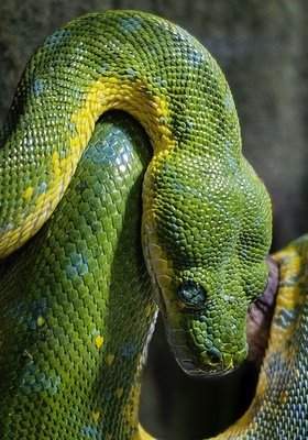 Фото Обзор изменений в Python 3.7
