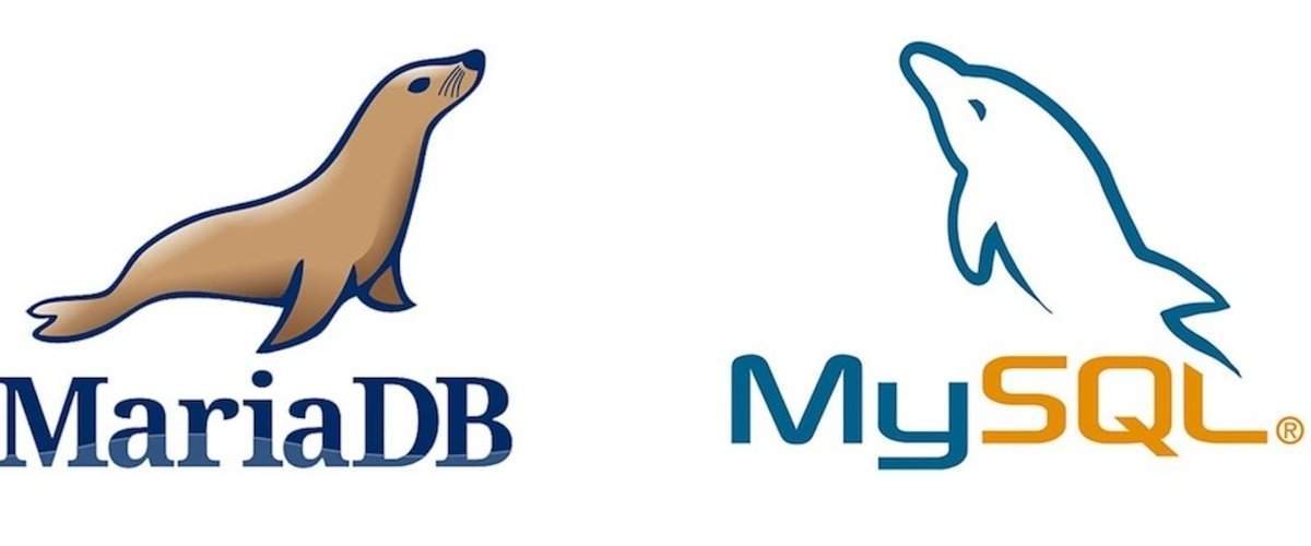 Фото Как создать копию таблицы MySQL / MariaDB
