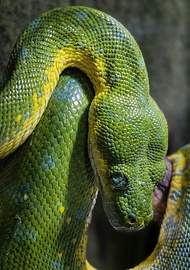 Фото Основы работы с потоками в Python