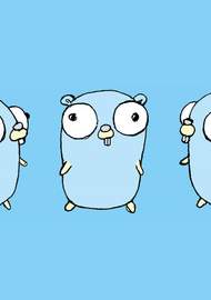 Фото Из Golang уберут термины whitelist/blacklist и master/slave