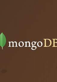 Фото Маленькая книга о MongoDB
