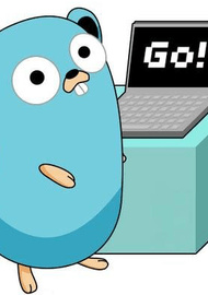 Фото Маленькая книга о Go (golang)